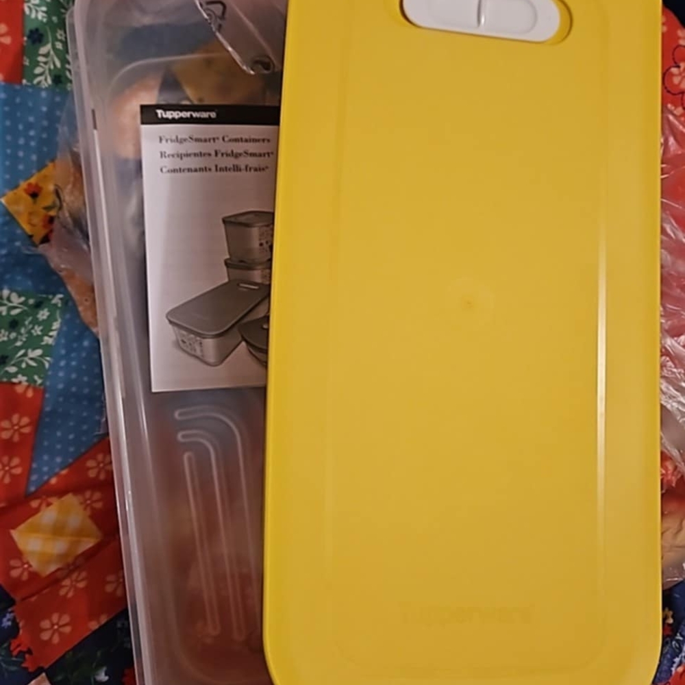 Tupperware Fridgesmart Large Container